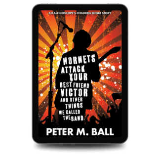 Hornets Attack Your Best Friend Victor And Other Things We Called The Band